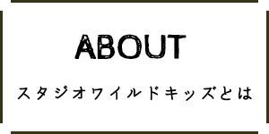 スタジオワイルドキッズとは