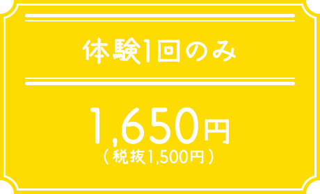 体験1回のみ 1,100円